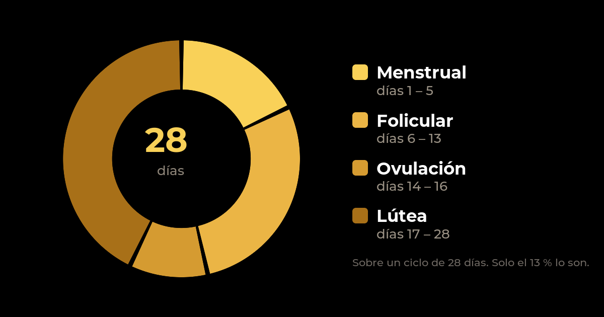 Las cuatro fases del ciclo menstrual sobre un ciclo de 28 días: menstrual días 1 a 5, folicular días 6 a 13, ovulación días 14 a 16 y lútea días 17 a 28